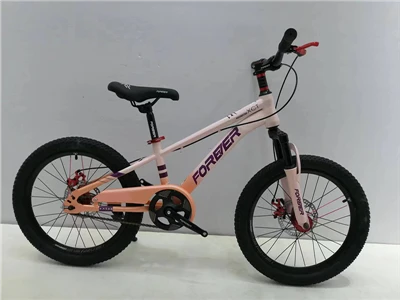16インチサイクル
